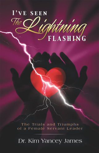 Cover image: I’Ve Seen the Lightning Flashing 9781669802389