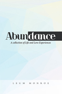 Cover image: Abundance 9781669804253