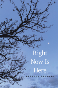 Imagen de portada: Right Now Is Here 9781669805021