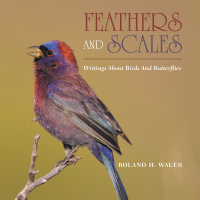 Cover image: Feathers and Scales 9781669811763