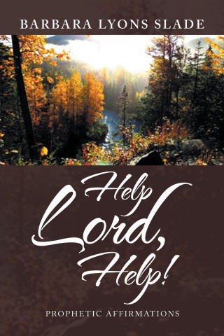 Imagen de portada: Help Lord, Help! 9781669812043