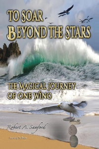 Cover image: To Soar Beyond the Stars 9781441536037