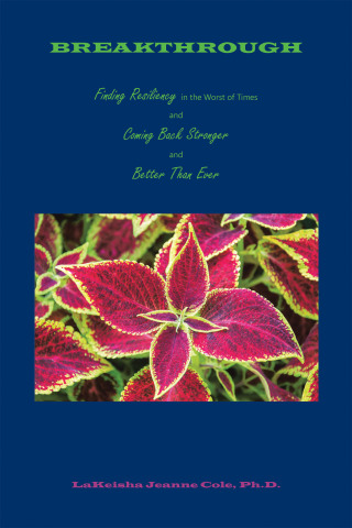 Imagen de portada: Breakthrough 9781669824411