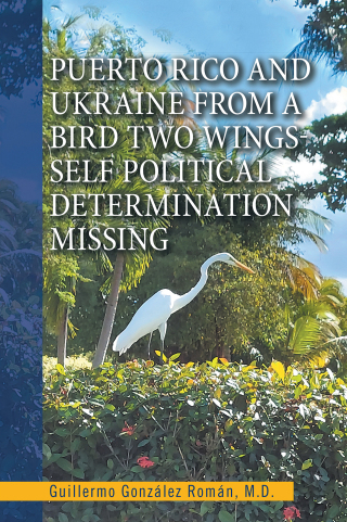 Imagen de portada: Puerto Rico and Ukraine from a Bird Two Wings- Self Political Determination Missing 9781669834366