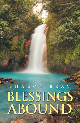 Imagen de portada: Blessings Abound 9781669837855