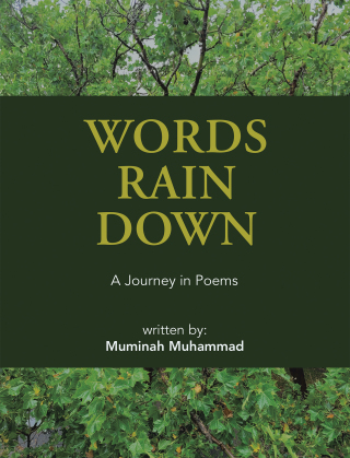 Imagen de portada: Words Rain  Down 9781669838715