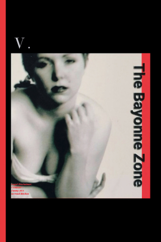 Cover image: The Bayonne Zone 9781669845966