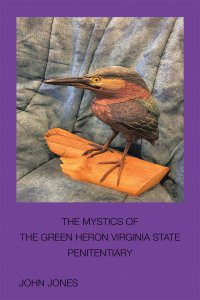 Imagen de portada: The Mystics of the Green Heron 9781669846208