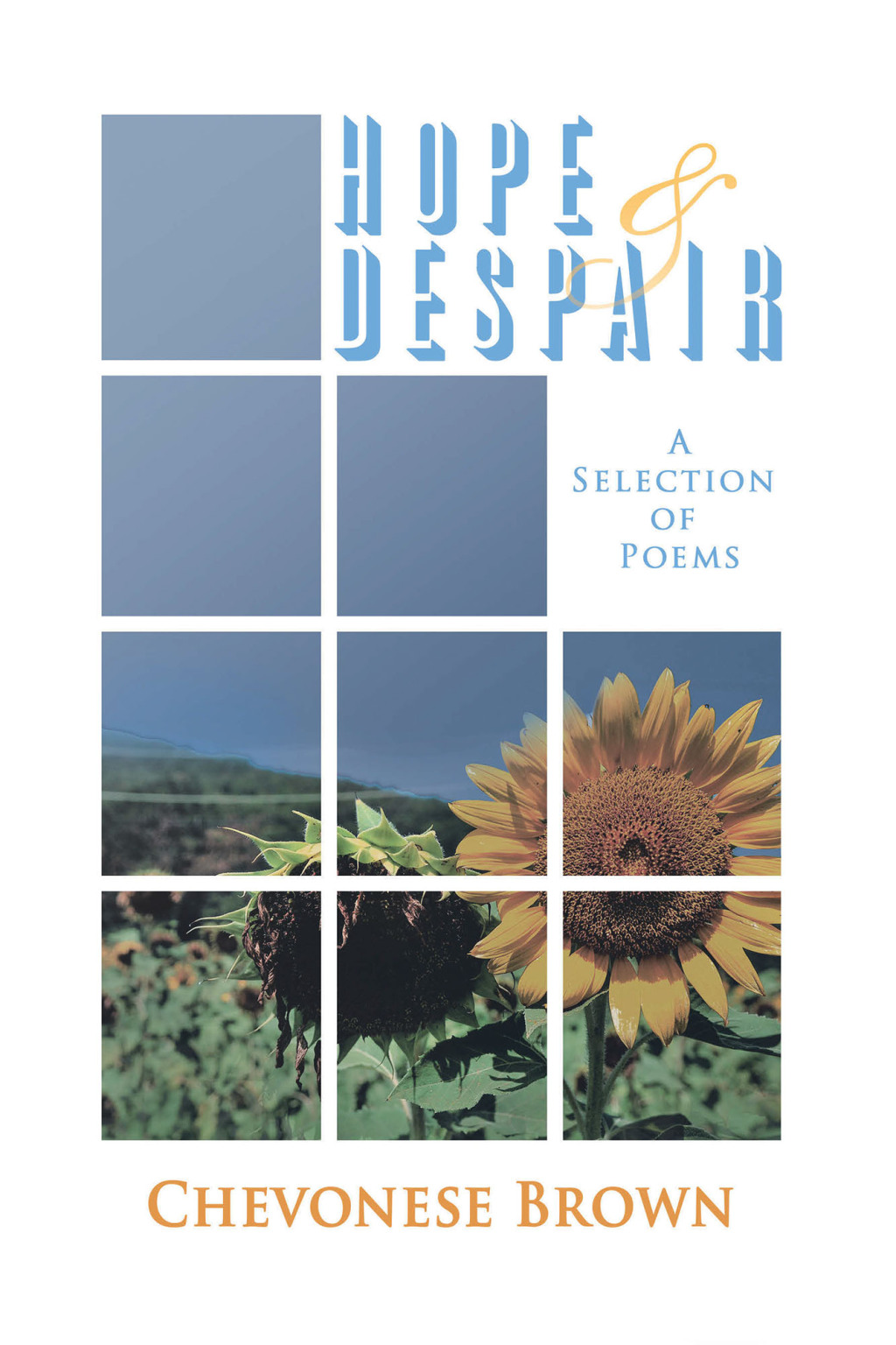 Hope & Despair A Selection of Poems