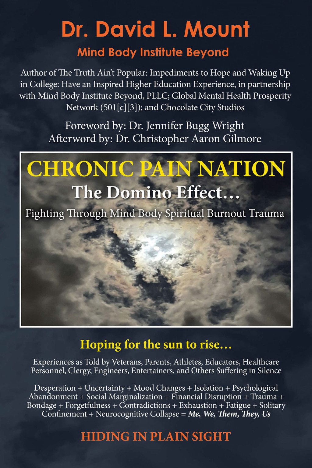 Chronic Pain Nation The Domino Effect