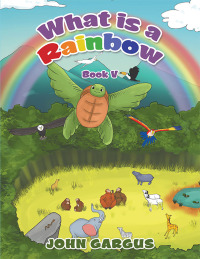 Cover image: What Is a Rainbow 9781669857716