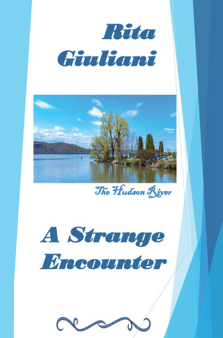 Titelbild: A Strange Encounter 9781669859369