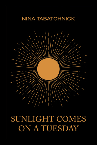 Cover image: Sunlight Comes on a Tuesday 9781669867814