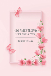 Cover image: First Metric  Musings: 9781669868934