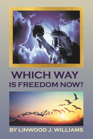 Omslagafbeelding: Which Way Is Freedom Now? 9781669872221