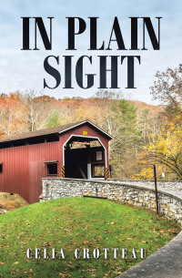 Cover image: In Plain Sight 9781669874331