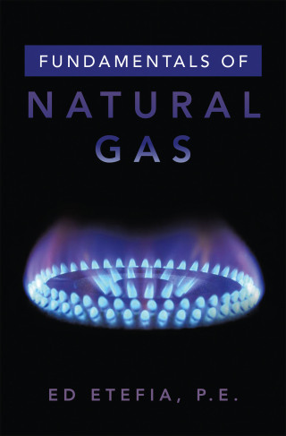 Omslagafbeelding: Fundamentals of Natural Gas 9781669875086