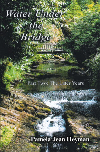 Imagen de portada: Water Under the Bridge 9781669891482