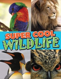صورة الغلاف: Super Cool Wildlife 9781680320138
