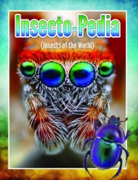 صورة الغلاف: Insecto-Pedia (Insects Of The World) 9781680320183