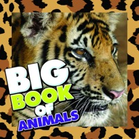 Omslagafbeelding: Big Book of Animals 9781680320367