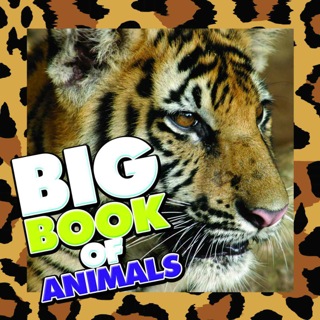 Cover image: Big Book of Animals 9781680320367