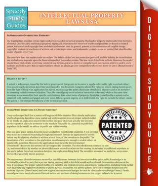 Cover image: Intellectual Property Laws USA 9781680321852