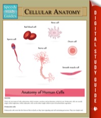 Titelbild: Cellular Anatomy 9781680321999