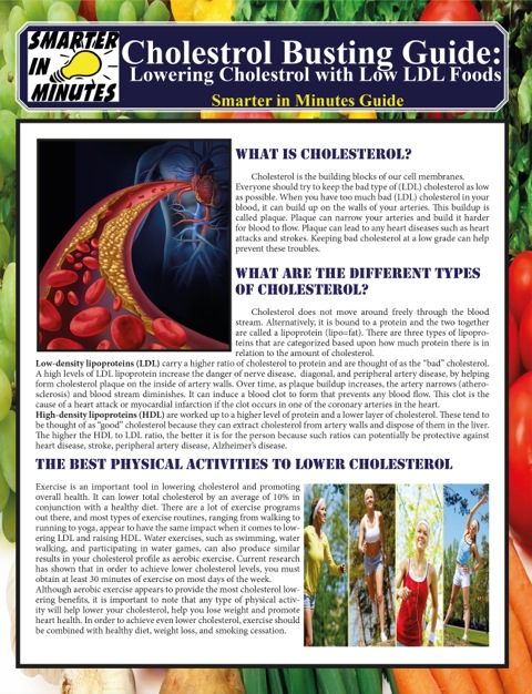 Cholesterol Busting Guide:: Lowering Cholestrol with Low LDL Foods - FULL INSTANT DOWNLOAD | PDF DOCX EPUB
