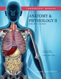 Cover image: Anatomy and Physiology II; Online Course 1st edition no print isbn