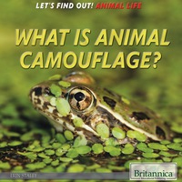 Cover image: What Is Animal Camouflage? 1st edition 9781680480009