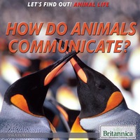 Cover image: How Do Animals Communicate? 1st edition 9781680480054
