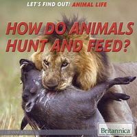 Omslagafbeelding: How Do Animals Hunt and Feed? 1st edition 9781680480153