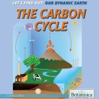 Imagen de portada: The Carbon Cycle 1st edition 9781680488210
