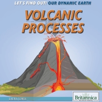 Cover image: Volcanic Processes 1st edition 9781680488364