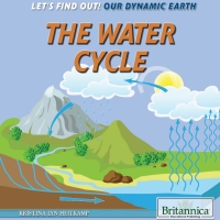 Titelbild: The Water Cycle 1st edition 9781680488395