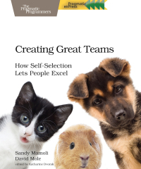 Immagine di copertina: Creating Great Teams 1st edition 9781680501285
