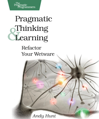 Cover image: Pragmatic Thinking and Learning 1st edition 9781934356050