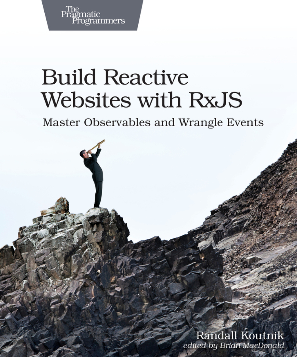 Build Reactive Websites with RxJS 1st Edition