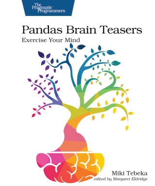 Imagen de portada: Pandas Brain Teasers 1st edition 9781680509014
