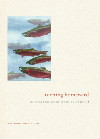 Cover image: Turning Homeward 9781680510621