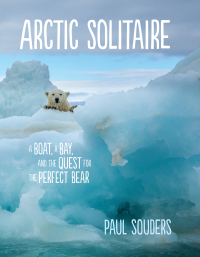 Titelbild: Arctic Solitaire 9781680511048
