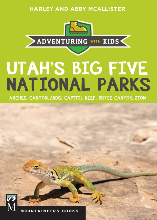 صورة الغلاف: Utah's Big Five National Parks 9781680511147