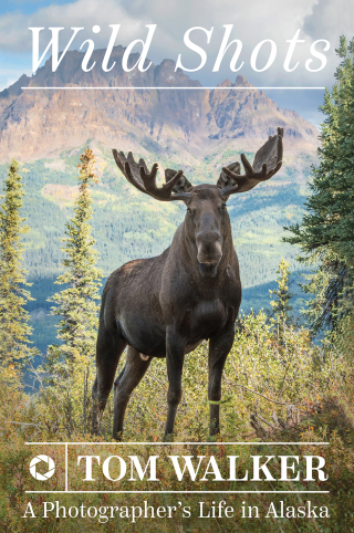 Imagen de portada: Wild Shots 9781680512274