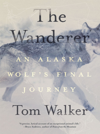 Cover image: The Wanderer 9781680516135