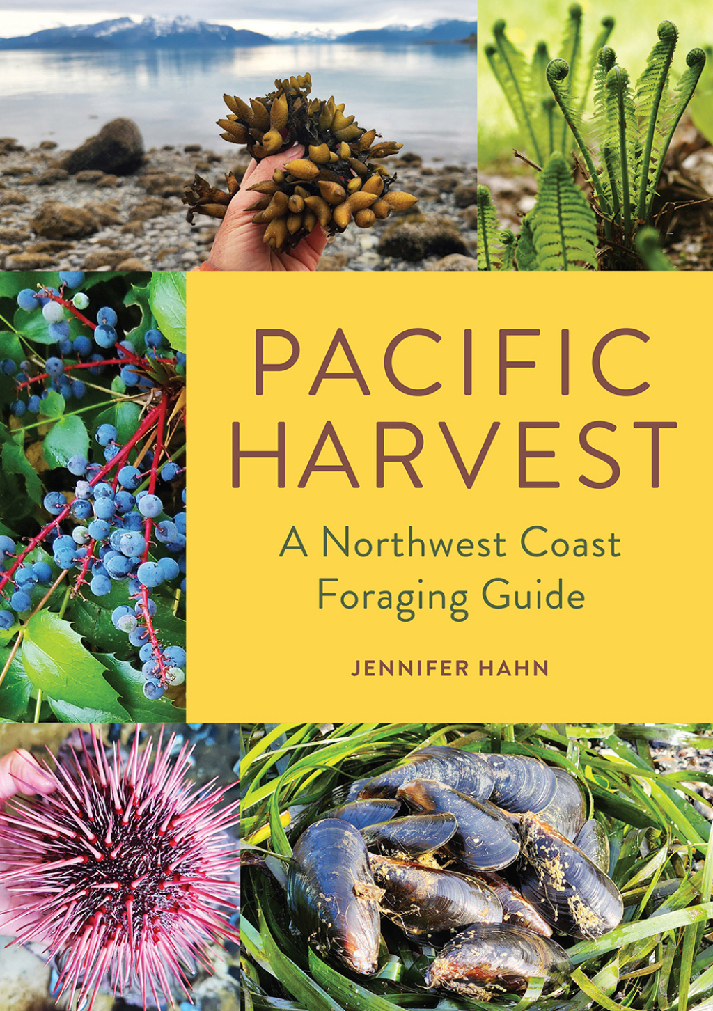 Pacific Harvest A Northwest Coast Foraging Guide