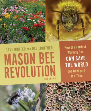 Imagen de portada: Mason Bee Revolution 2nd edition 9781680517101