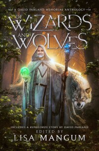 Imagen de portada: Of Wizards and Wolves 9781680574197