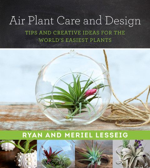 Air Plant Care and Design: Tips and Creative Ideas for the World's Easiest Plants - FULL INSTANT DOWNLOAD | PDF DOCX EPUB