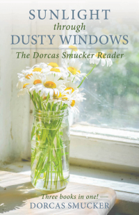 Cover image: Sunlight Through Dusty Windows 9781680993073